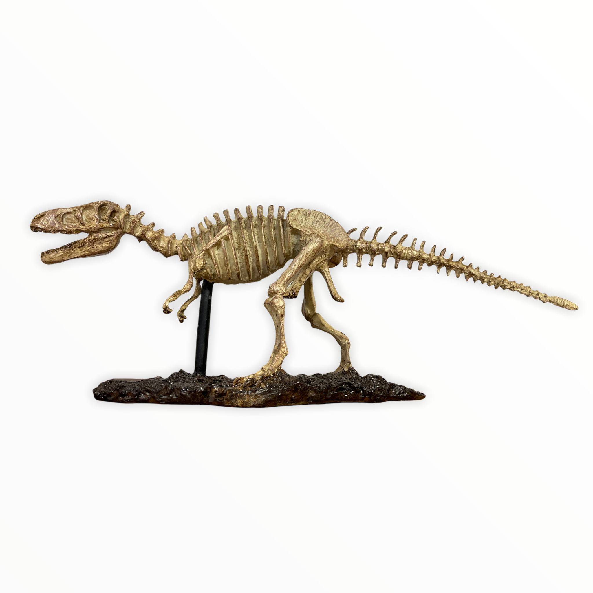 Statua decorativa scheletro dinosauto trex